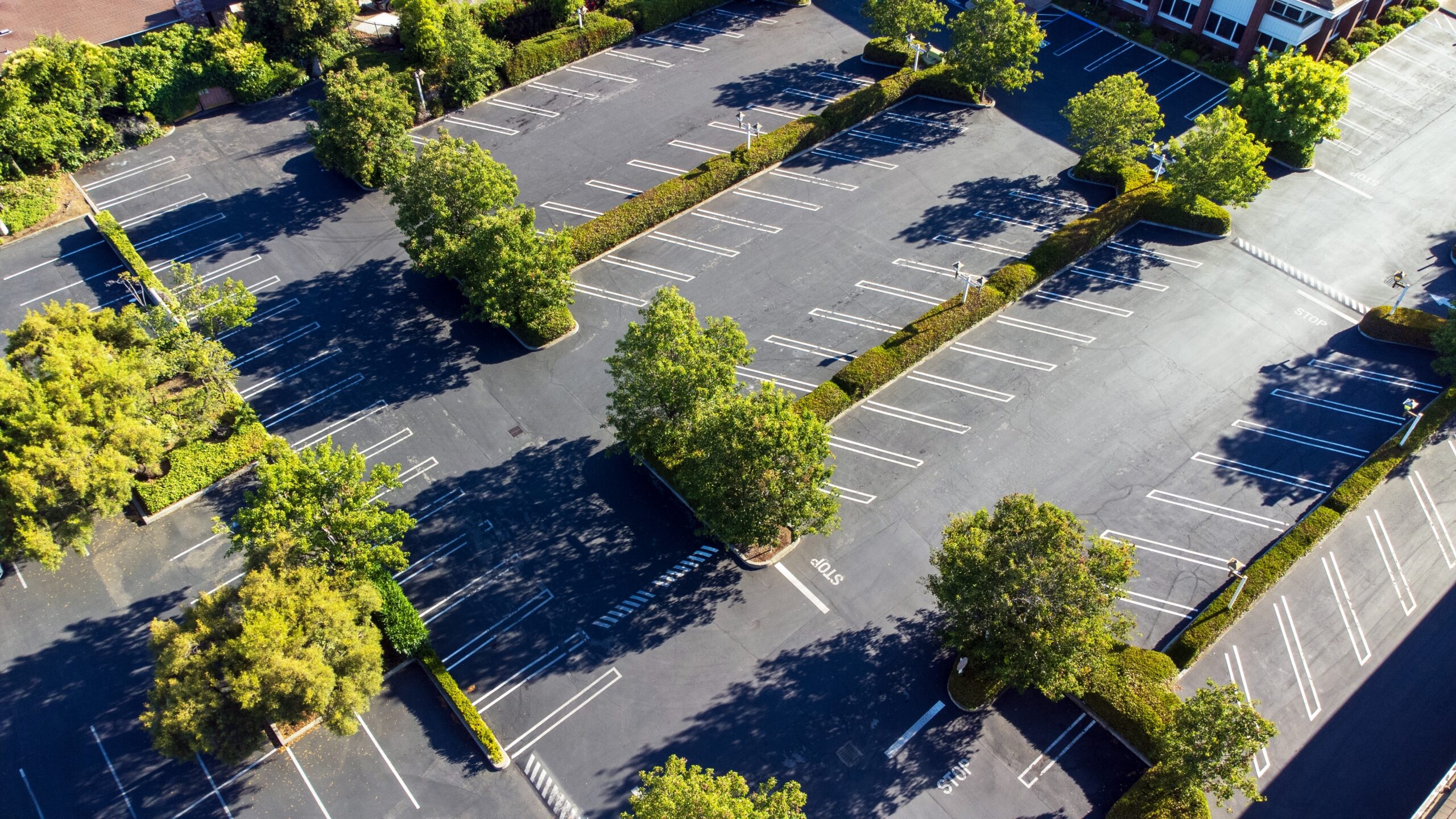 Houston’s Most Common Pavement Issues (and How to Fix Them)